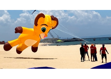 sư tử simba (8m)